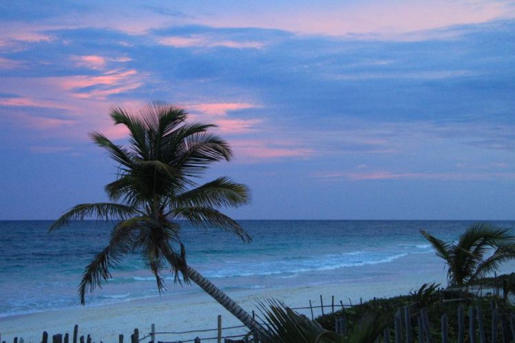 10499_10151073865089667_429649727_n