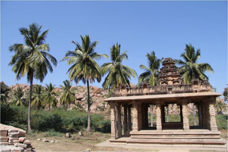 169782_499702729666_1806867_o