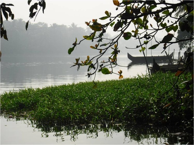 170130_499703869666_6736879_o