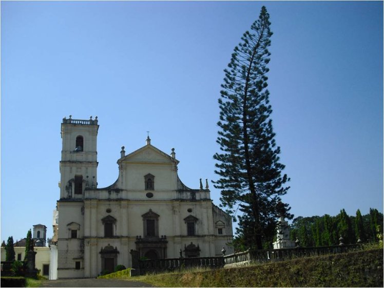 170194_499702274666_7799094_o