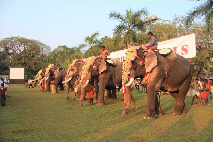 170738_499703654666_2403759_o