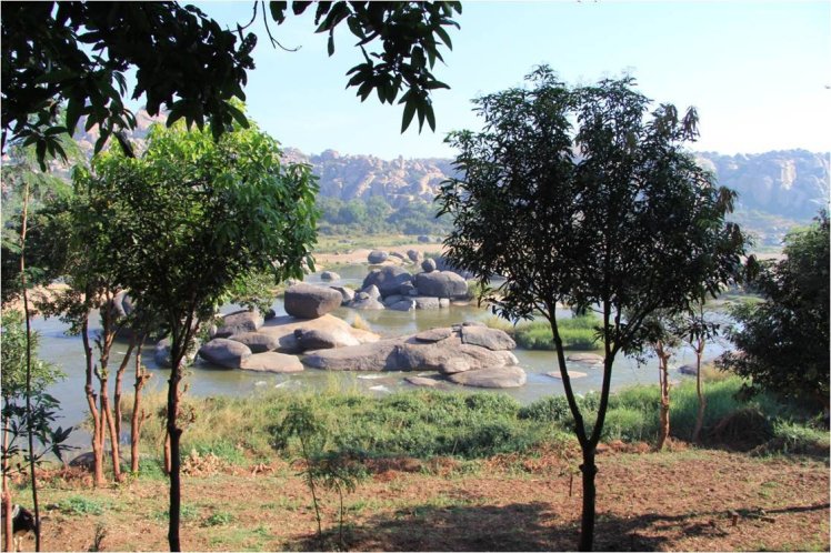 171582_499703064666_4912881_o