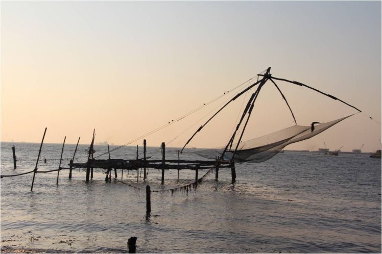 171630_499704239666_3889848_o