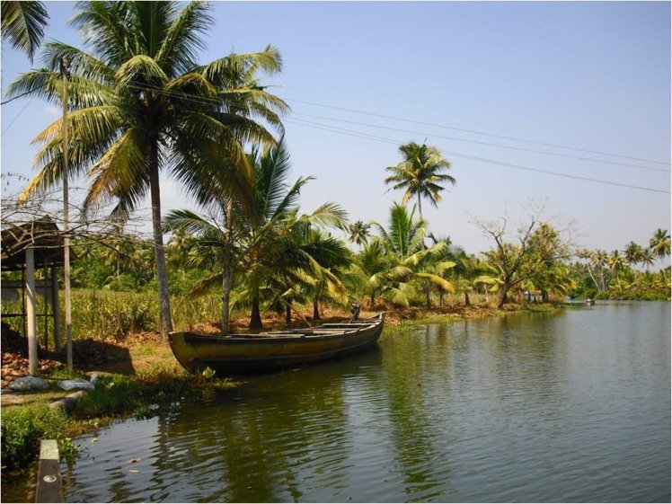 172130_499704004666_7709679_o