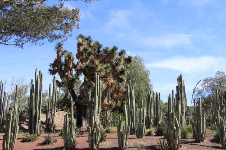 184164_10151073859009667_995106430_n