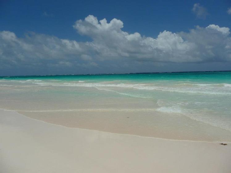 391978_10151073867239667_229550829_n