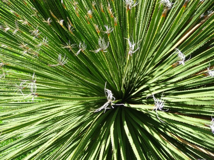 574470_10151073865734667_1859819830_n