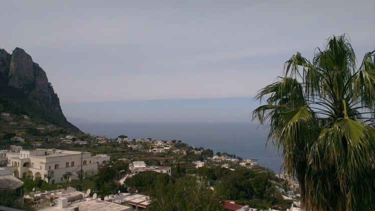 461342_10151468735784667_1266751909_o